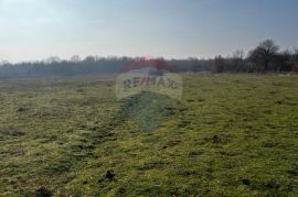 Istra, Bale, poljoprivredno zemljište 2570m2, Bale, Land