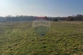 Istra, Bale, poljoprivredno zemljište 2570m2, Bale, Terreno