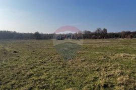 Istra, Bale, poljoprivredno zemljište 2570m2, Bale, Land