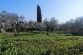 GALIŽANA, građevinsko zemljište, pogled, Vodnjan, Land