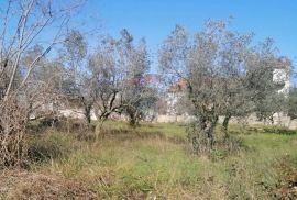 GALIŽANA, građevinsko zemljište, pogled, Vodnjan, Terrain