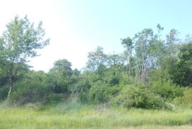 Istra,okolica Peruški, poljoprivredno zemljište uz cestu, Marčana, Tierra