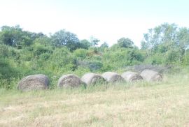 Istra,okolica Peruški, poljoprivredno zemljište uz cestu, Marčana, Tierra