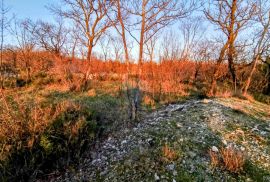 Krasica, poljoprivredno zemljište cca. 2500m2, Bakar, Terrain