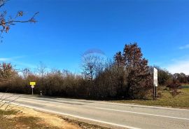 Istra,Bijažići-Građevinsko zemljište u mirnom okruženju, Svetvinčenat, Terrain