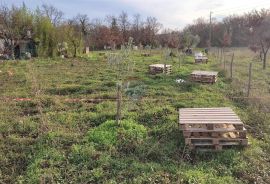 Istra,atraktivno zemljište u blizini Umaga i mora, Umag, Terreno