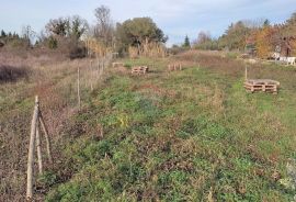 Istra,atraktivno zemljište u blizini Umaga i mora, Umag, Terreno