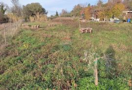 Istra,atraktivno zemljište u blizini Umaga i mora, Umag, Terreno