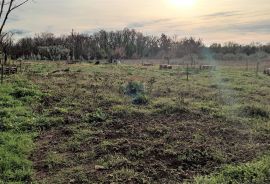 Istra,atraktivno zemljište u blizini Umaga i mora, Umag, Terrain