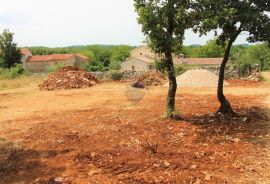 Istra, Grožnjan okolica, lijepa građevinska parcela, Grožnjan, Terrain