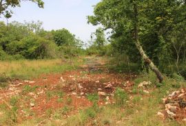 Istra, Grožnjan okolica, lijepa građevinska parcela, Grožnjan, Terrain