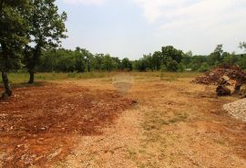 Istra, Grožnjan okolica, lijepa građevinska parcela, Grožnjan, Terrain