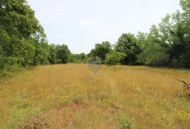 Istra, Grožnjan okolica, lijepa građevinska parcela, Grožnjan, Terrain