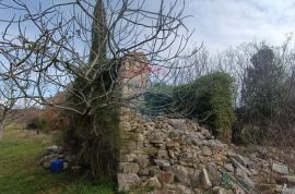 Rovinj, poljoprivredno zemljište s upisanom poljskom kućicom, Rovinj, Land