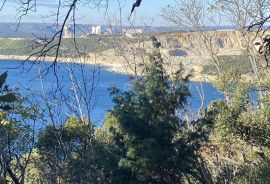 ISTRA-RAŠA, Crna Punta i Skitača, veliko negrađevinsko zemljište od 6 ha sa ucrtanih 5 građevina, Raša, Arazi