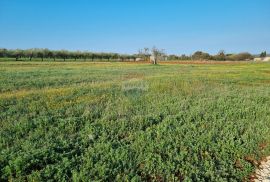 Galižana, 1100m2 zemljište, Vodnjan, Land