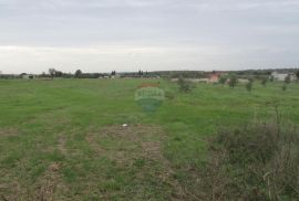 Galižana, 1100m2 zemljište, Vodnjan, Land