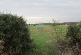 Galižana, 1100m2 zemljište, Vodnjan, Terra