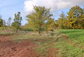 Istra, Žminj, Građevinsko zemljište na lijepoj lokaciji, površine 2371m2, Žminj, Arazi