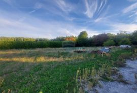 Građevinsko zemljište u industrijskoj zoni u blizini Pazina, Pazin - Okolica, Terreno