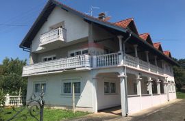 Pisarovina, Bratina, obiteljska kuća 570 m2 s okućnicom 4700 m2, pomoćna zgrada, garaža i lift, Pisarovina, House