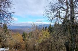 Hrib - samostojeća kuća 240 m2 sa okućnicom i prekrasnim otvorenim pogledom, Čabar, Дом