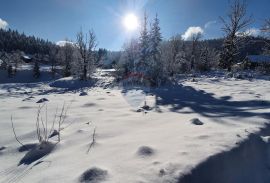 Stara Sušica - poljoprivredni teren, Ravna Gora, Arazi