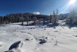 Stara Sušica - poljoprivredni teren, Ravna Gora, Arazi