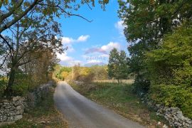 Tinjan okolica: Lijepa građevinska parcela na rubnom dijelu naselja, Tinjan, Terreno