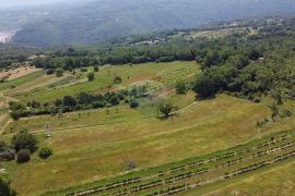 Istra, Pićan, veliki kompleks građevinskog i poljoprivrednog zemljišta, Pićan, Terreno