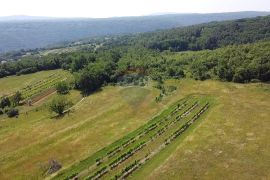 Istra, Pićan, veliki kompleks građevinskog i poljoprivrednog zemljišta, Pićan, Terreno