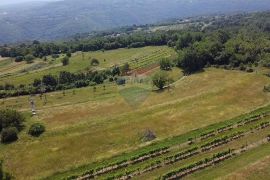 Istra, Pićan, kombinacija građevinskog i poljoprivrednog zemljišta, Pićan, Terreno