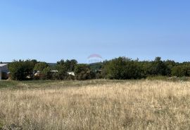 Sveti Lovreč - okolica, građevinsko i poljoprivredno zemljište u mirnom mjestu, Sveti Lovreč, Land