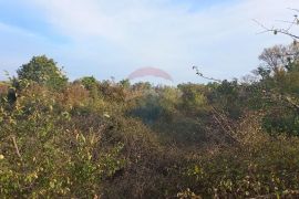 Istra, Fažana okolica, 4 poljoprivredne parcele, Fažana, Земля