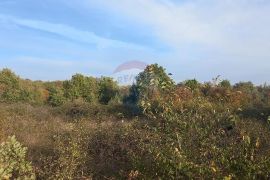 Istra, Fažana okolica, 4 poljoprivredne parcele, Fažana, Tierra