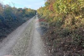 Istra, Fažana okolica, 4 poljoprivredne parcele, Fažana, Terra