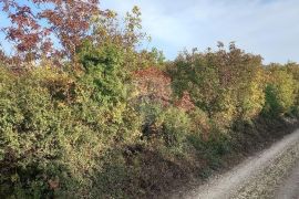 Istra, Fažana okolica, 4 poljoprivredne parcele, Fažana, Terreno