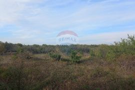 Istra, Fažana okolica, maslinik i parcela, Fažana, Zemljište