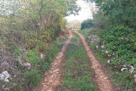 Istra, Fažana okolica, maslinik i parcela, Fažana, Terreno