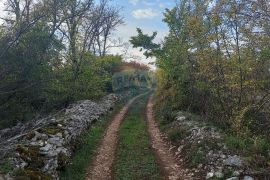 Istra, Fažana okolica, maslinik i parcela, Fažana, Tierra