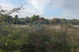 Istra, Fažana okolica, maslinik i parcela, Fažana, Terreno