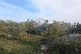 Istra, Fažana okolica, maslinik i parcela, Fažana, Zemljište