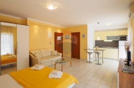 Crikvenica, Selce - Vila sa 7 apartmana i velikom okućnicom, Crikvenica, House