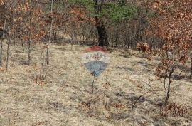 Matulji, Brešca 19613 m2, Matulji, Land