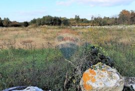 Istra, okolica Svetvincenta, gradjevinsko-poljoprivredna parcela, Svetvinčenat, Terrain