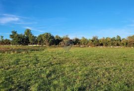 Istra, Savudrija, negrađevinsko zemljište s pogledom na more, Umag, Land