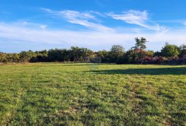 Istra, Savudrija, negrađevinsko zemljište s pogledom na more, Umag, Terreno