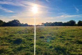 Istra, Savudrija, negrađevinsko zemljište s pogledom na more, Umag, Land