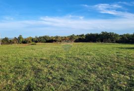 Istra, Savudrija, negrađevinsko zemljište s pogledom na more, Umag, Terrain