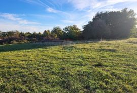 Istra, Savudrija, negrađevinsko zemljište s pogledom na more, Umag, Land